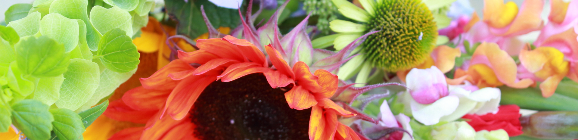 Segment of a bouquet of colourful flowers
